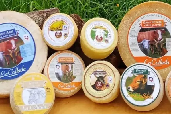 La Collada , productor de Queso en la localidad de Cirieño, Asturias