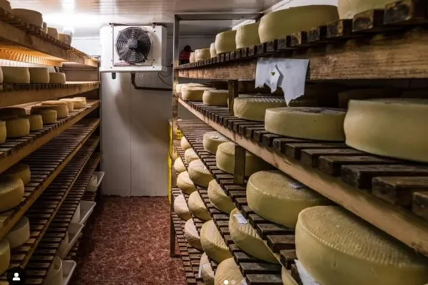 Quesería Artesanal del Rosario , productor de Queso en la localidad de Agaete, Las Palmas