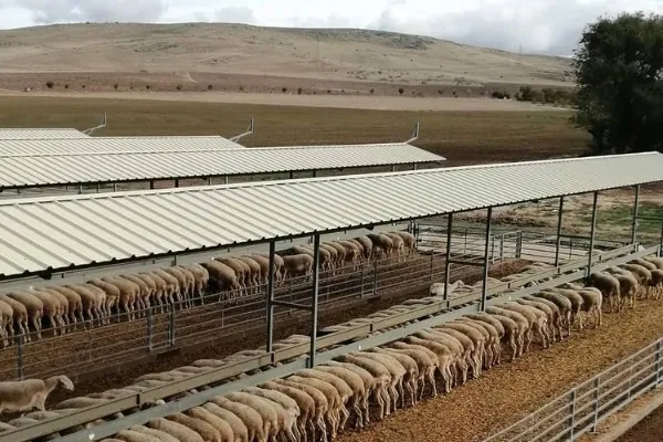 Quesos Villadiego , productor de Queso en la localidad de Poblete, Ciudad Real