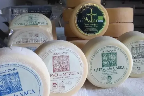 Quesu Ovin , productor de Queso en la localidad de Nava, Asturias