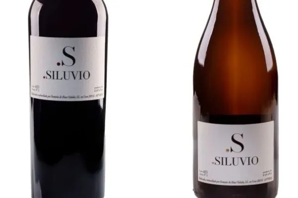 Siluvio Bodegas y Viñedos , productor de Vino en la localidad de Cecos, Asturias