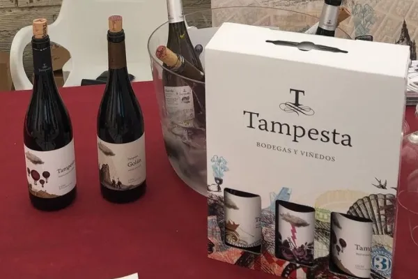 Bodegas y Viñedos Tampesta , productor de Vino en la localidad de Valdevimbre, León