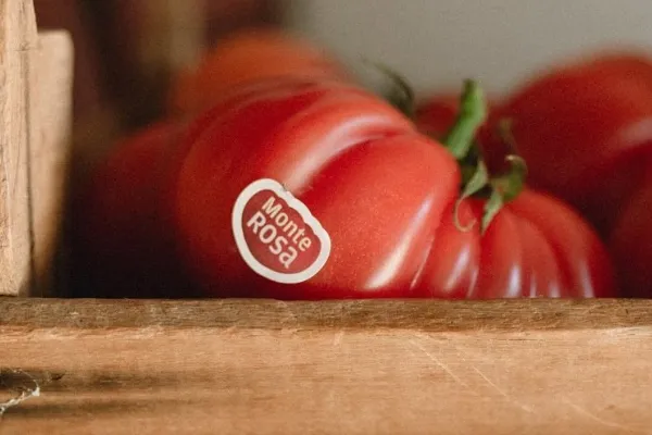 Tomato Monterosa , productor de Verduras en la localidad de Barcelona, Barcelona