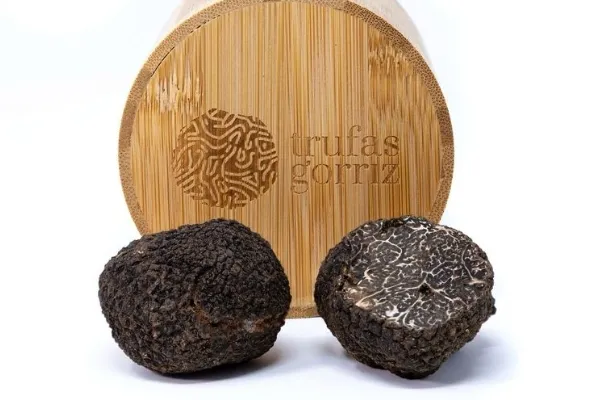 Trufas Gorriz , productor de Fungi en la localidad de Rubielos de Mora, Teruel