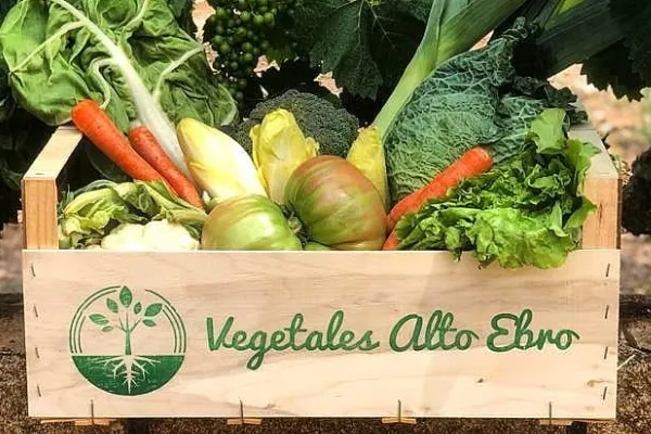 Vegetales Alto Ebro , productor de Verduras en la localidad de Milagro, Nafarroa