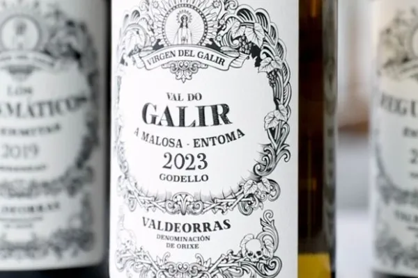 Virgen del Galir , productor de Vino en la localidad de Entoma, Ourense